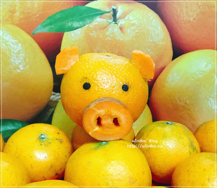 己亥豬年∥ 手作可愛橘子豬。擁抱茂谷柑的豬之諸事大吉啊！