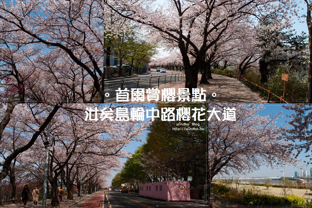 首爾賞櫻推薦景點∥ 國會議事堂站。汝矣島輪中路櫻花大道/永登浦汝矣島櫻花節
