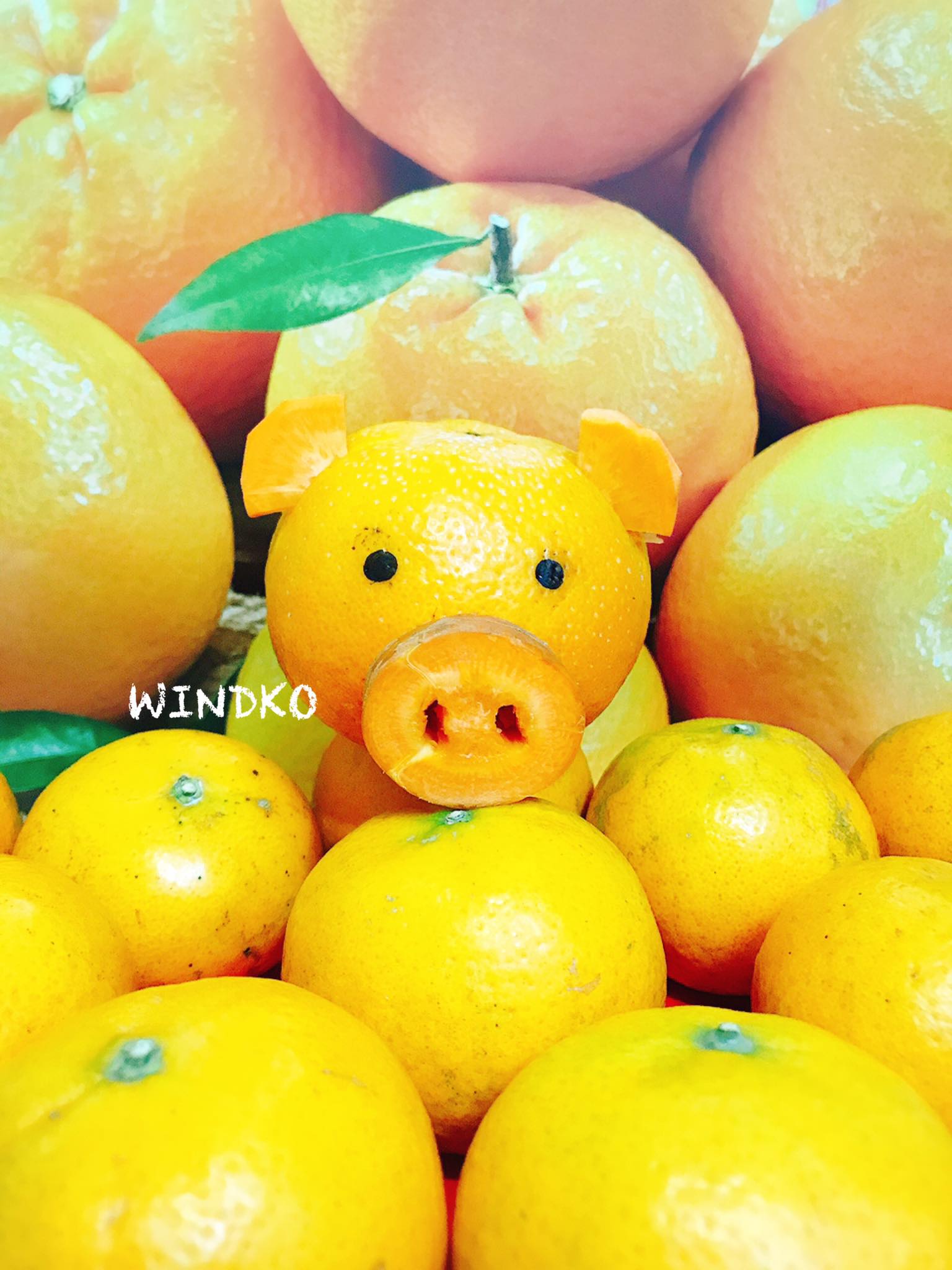 照片日誌∥ 用FB寫日記★2019/02/01~02/28