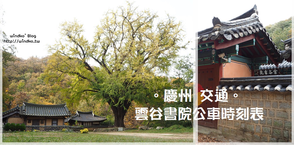 慶州交通∥ 怎麼去雲谷書院賞銀杏樹？慶州巴士站搭272公車到雲谷書院的巴士時刻表/交通方式