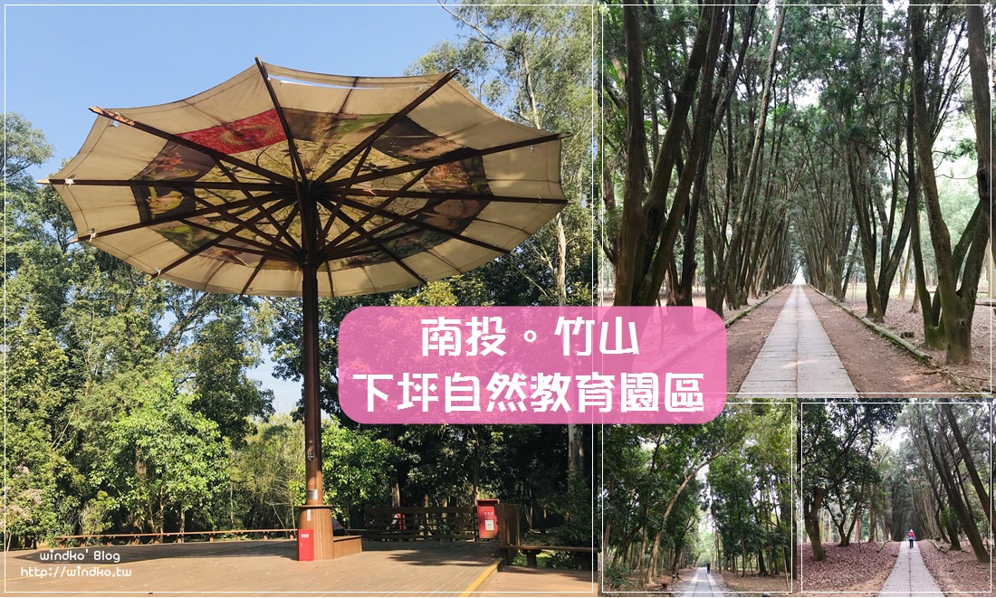 南投竹山∥ 散步運動的林蔭景點推薦/免費園區 下坪自然教育園區(下坪熱帶植物園/臺大實驗林)-肖楠步道.巨型傘生態教室