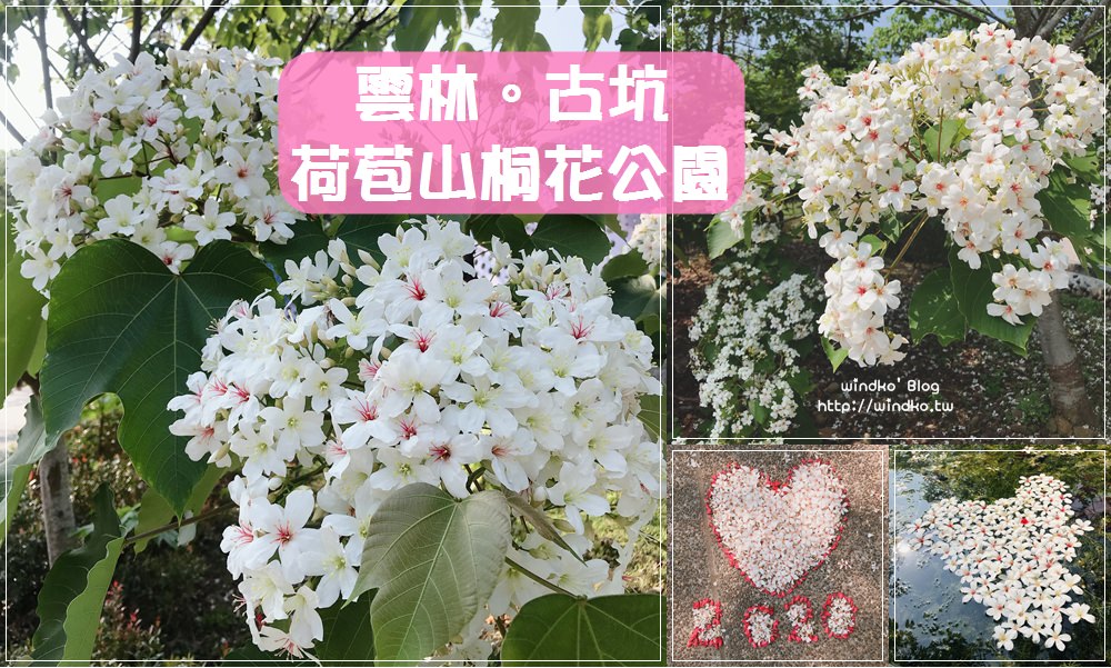 雲林四月雪∥ 古坑 荷苞山桐花公園-散步踏青賞油桐花的必訪景點_2021年客家桐花祭