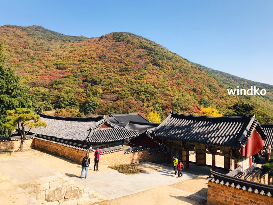 照片日誌∥ 用FB寫日記★2019/11/01~11/30