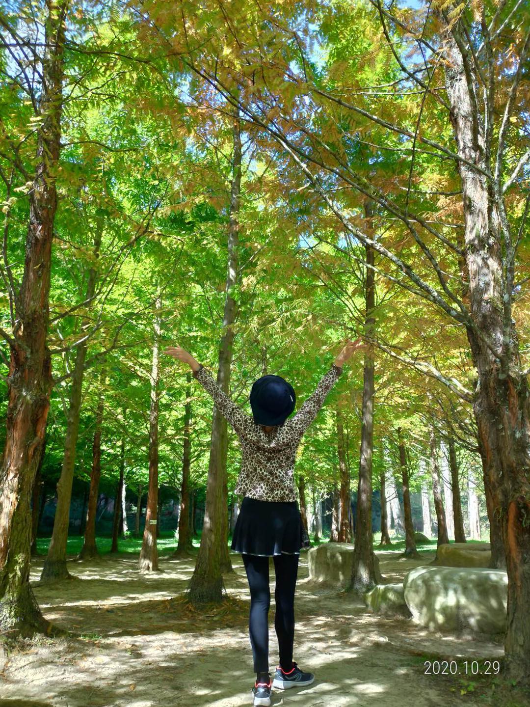 照片日誌∥ 用FB寫日記★2020/10/01~10/31