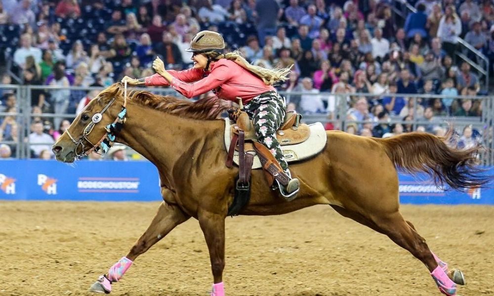 Local Heroes Series Fallon Taylor Windmill Ceiling Fans For Sale