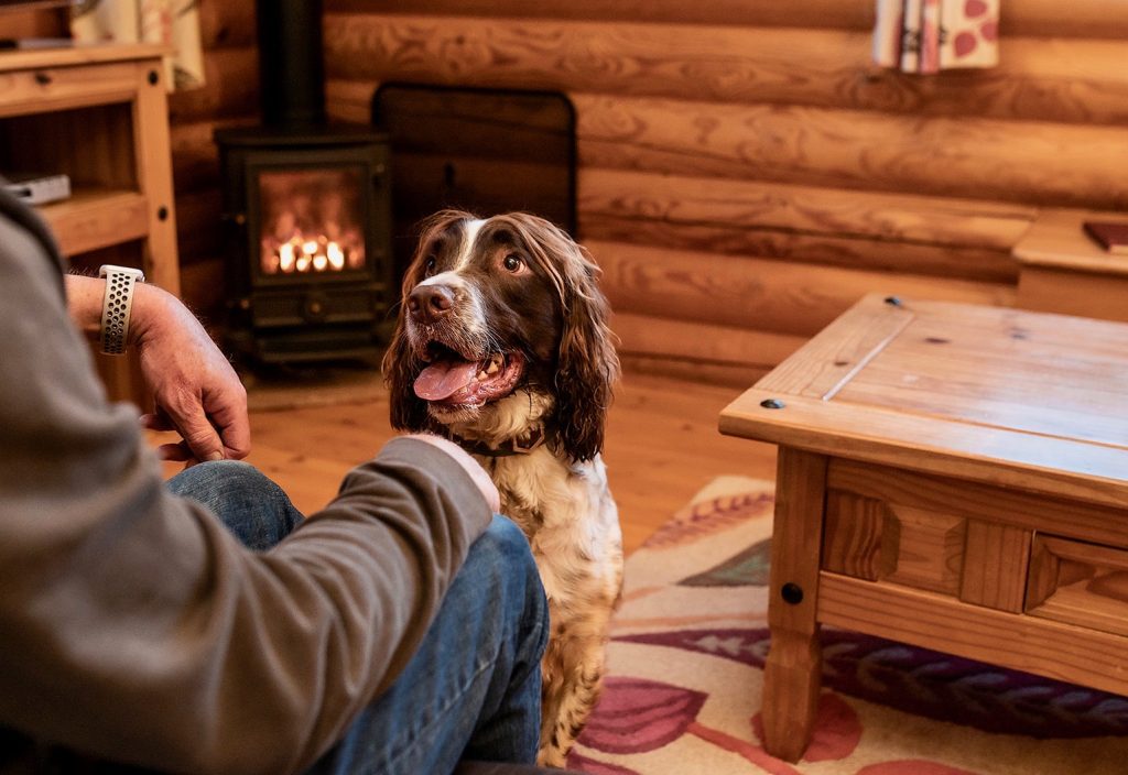 Pet Friendly Log Cabins Suffolk Stay At Windmill Lodges