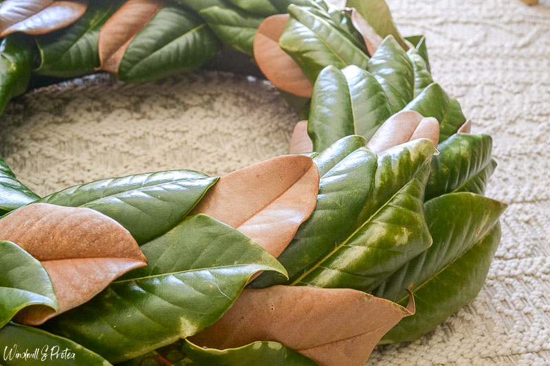 Easy DIY Magnolia Wreath from real Magnolia leaves Windmill & Protea