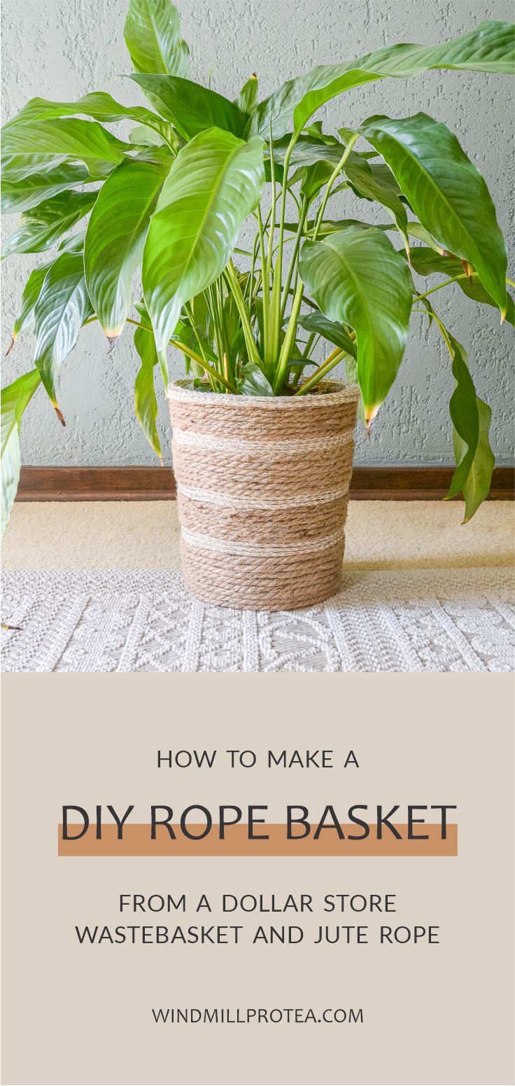 Make Your Own, Cute DIY Rope Basket on a Budget Windmill & Protea