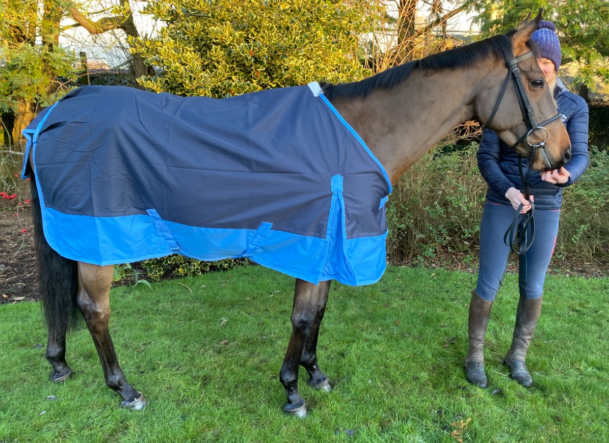 IV Horse Turnout Rug 100g Fill 600 Denier Standard neck Windowbox Limited