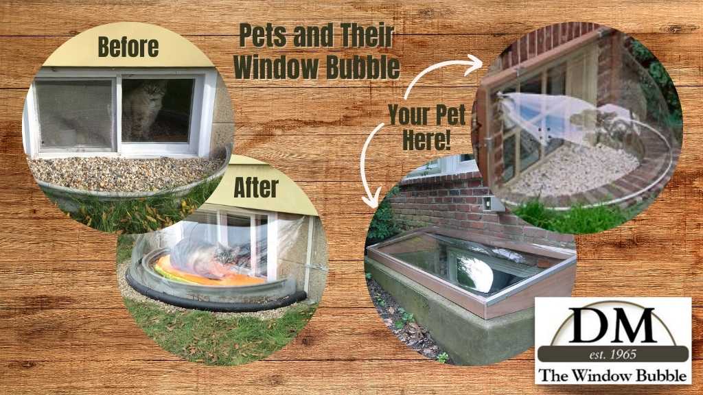 Pets and Their Window Bubble Window Well Experts Covers by Window