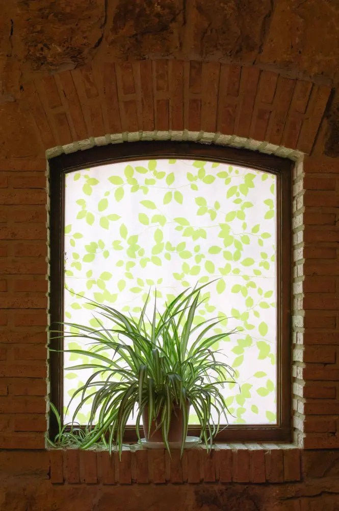 How to Make Window Clings Stick Again Easy Fixes & Tips
