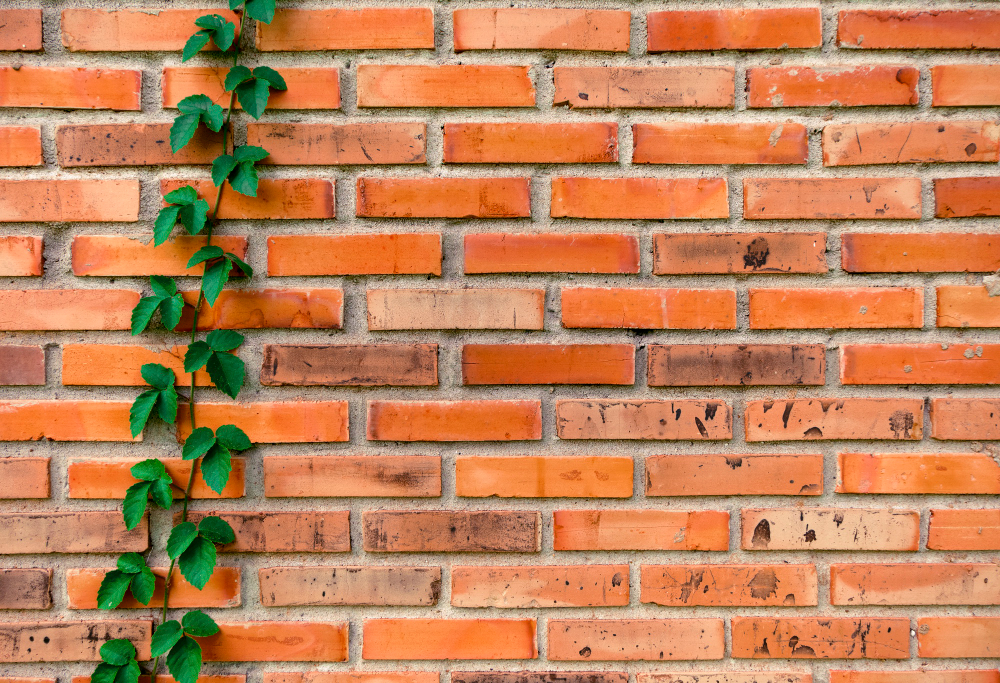 Elevating Outdoor Aesthetics Through Brick Restoration An Essential Guide