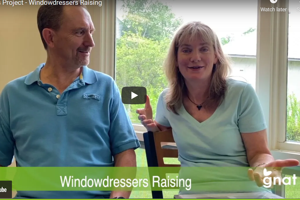 WindowDressers on Vermont Public Access News WindowDressers