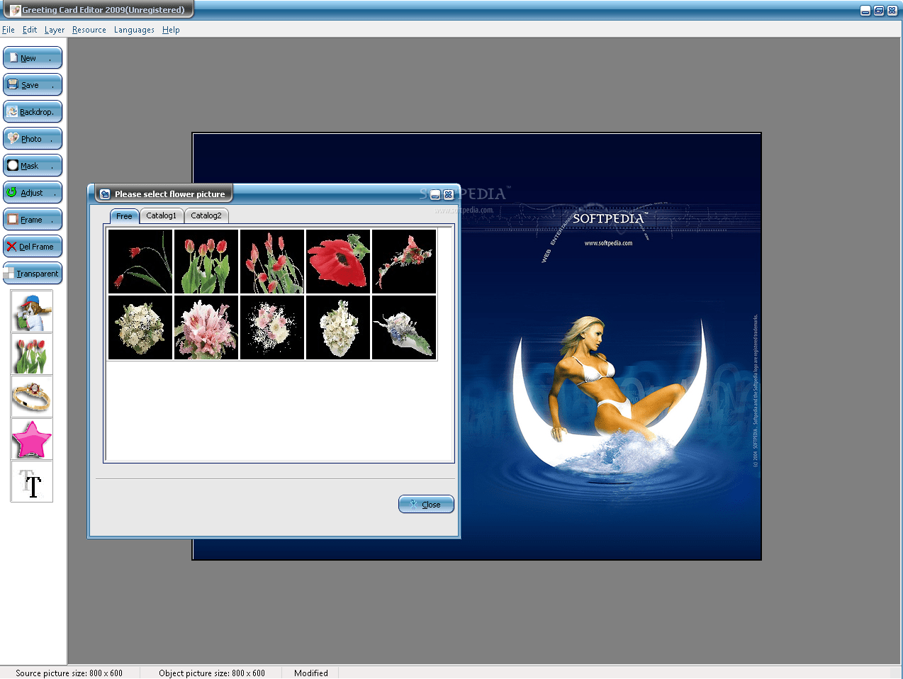 Download Greeting Card Editor 2009.2.4