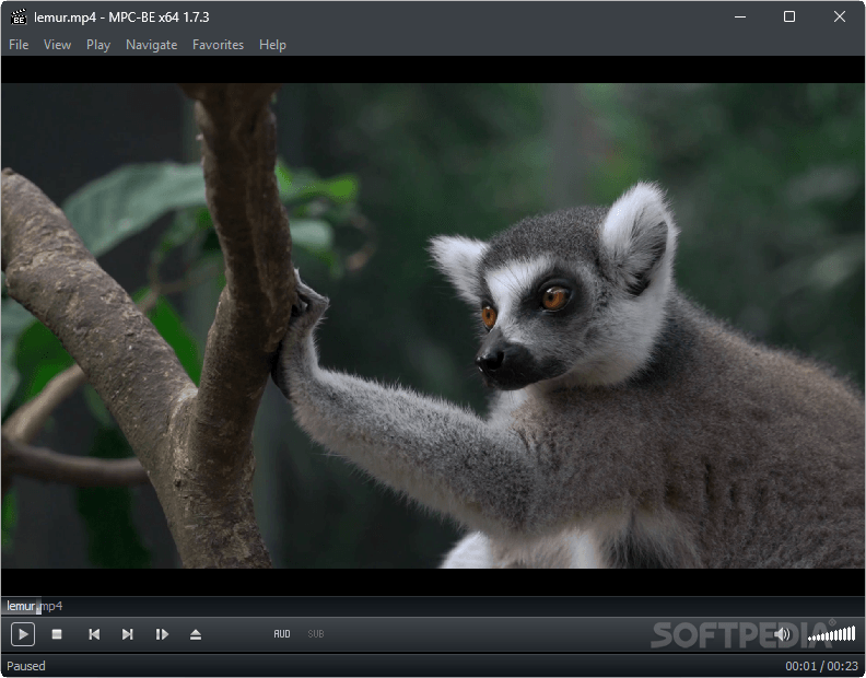 Media Player Classic Black Edition Portable 1.7.3 / 1.7.3.116 Beta