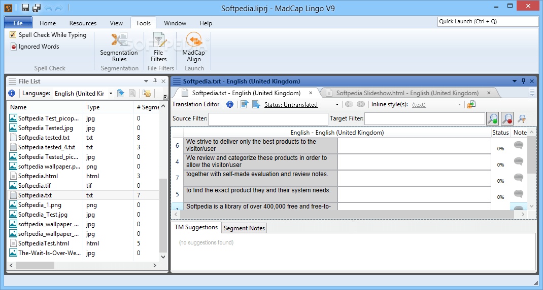 Download MadCap Lingo