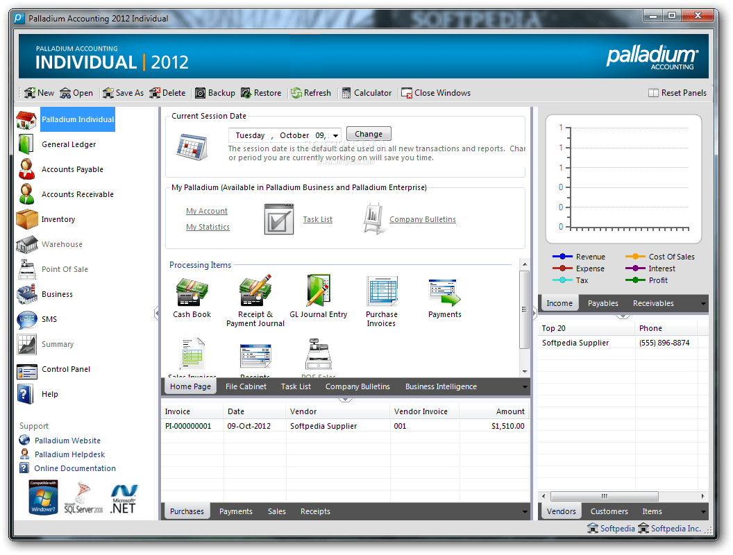 Download Palladium Accounting Individual 2012 12.8.145