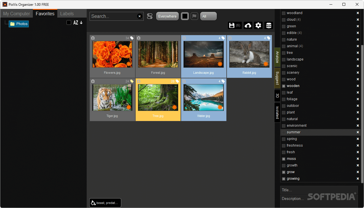 PixVis Organizer 1.03 Download, Review, Screenshots