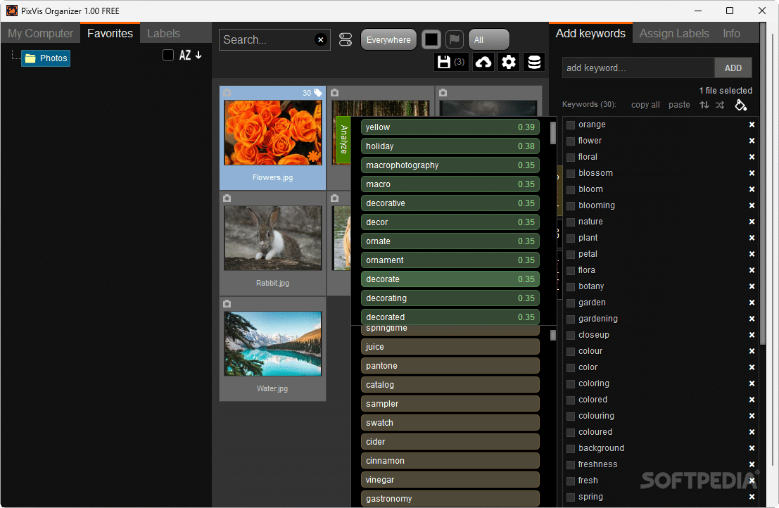 PixVis Organizer 1.03 Download, Review, Screenshots