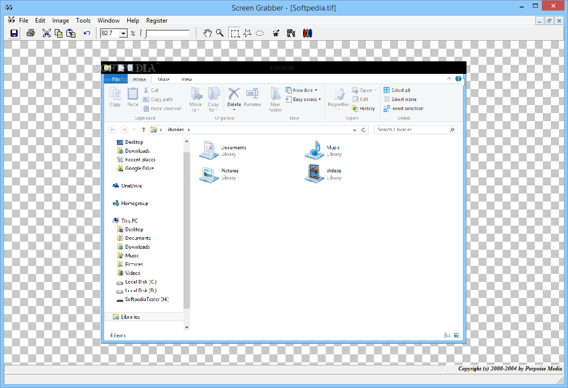 Download Screen Grabber