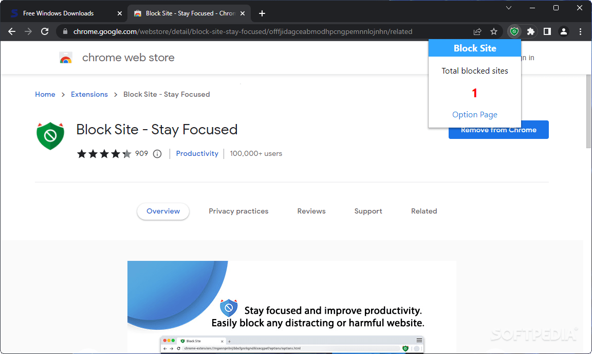 Download Block Site Stay Focused