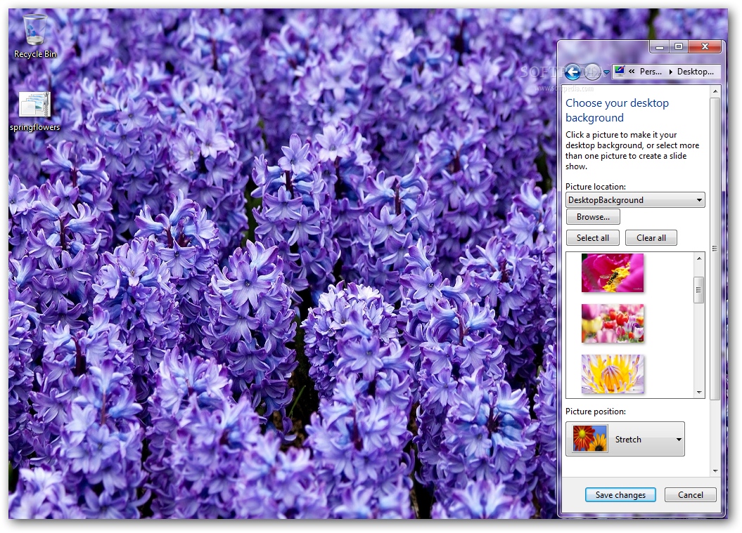 Spring Flowers Windows 7 Theme 1.00 Download, Screenshots