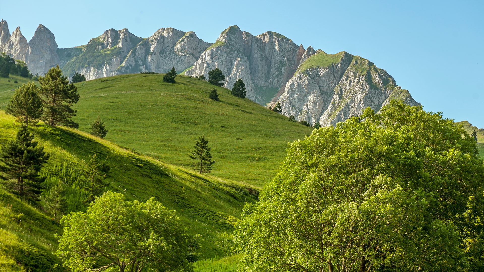 Zelengora mountain peaks and meadows, Sutjeska national