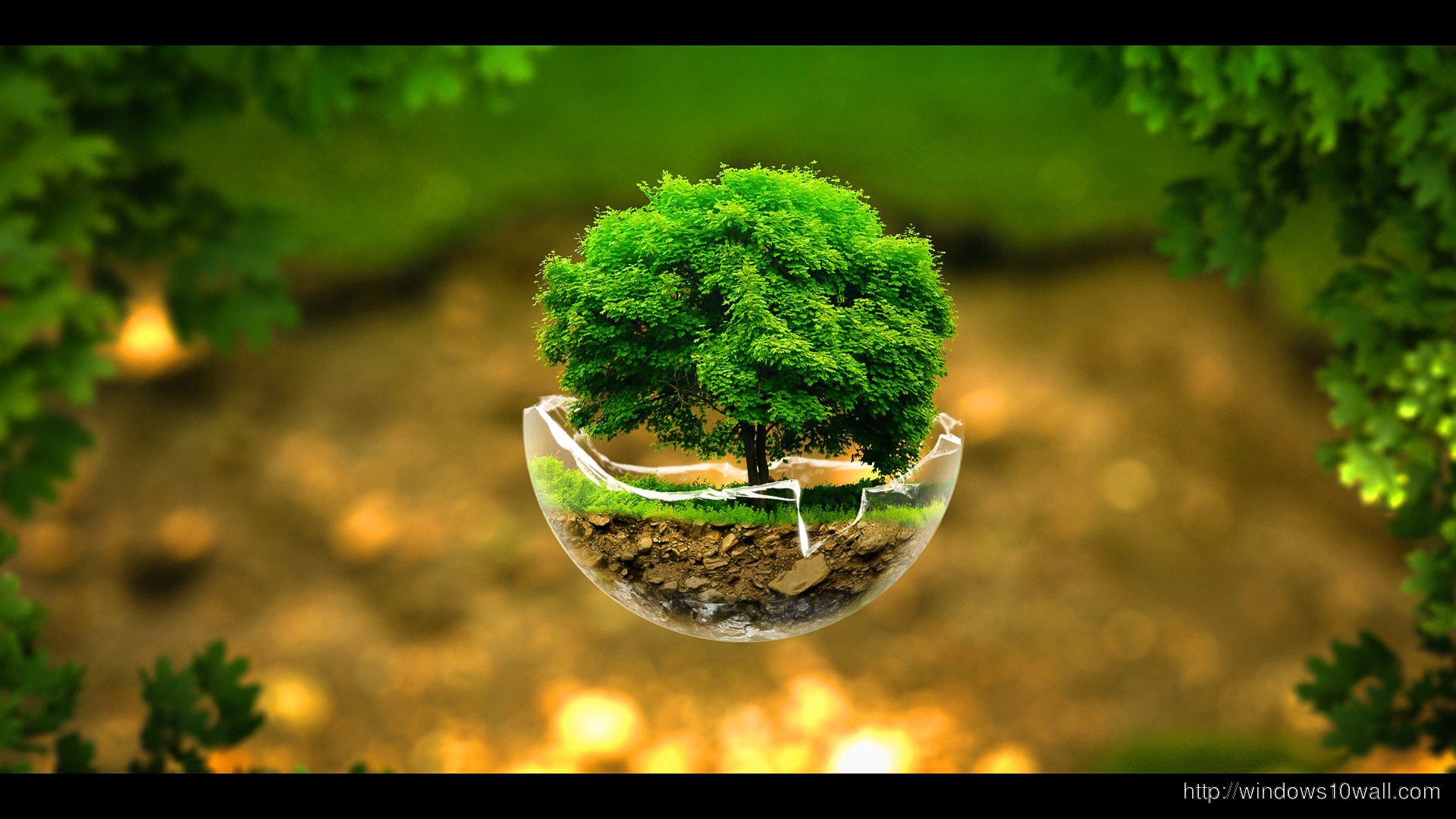 Abstract Tree Background HD Wallpaper windows 10 Wallpapers