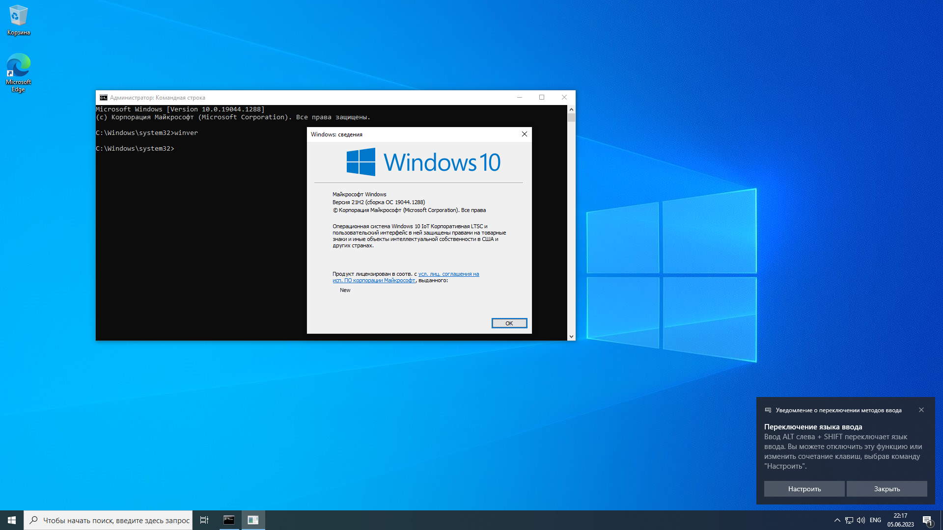 Скачать Windows 10 IoT LTSC 21H2 x64x86 Оригинальные версии MSDN на