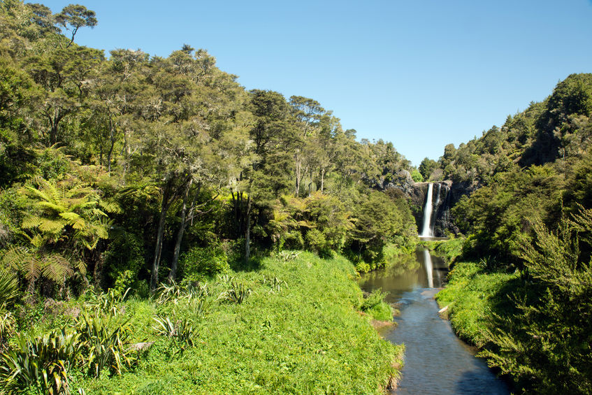 7 North Island Hiking Destinations in New Zealand