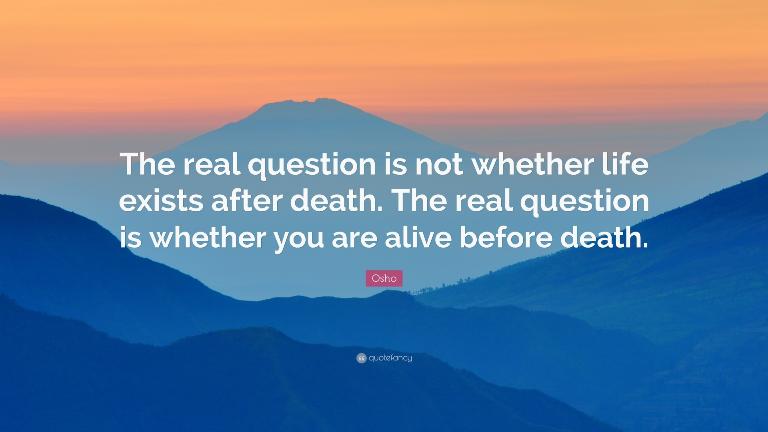 Motivational quotes Windows Themes