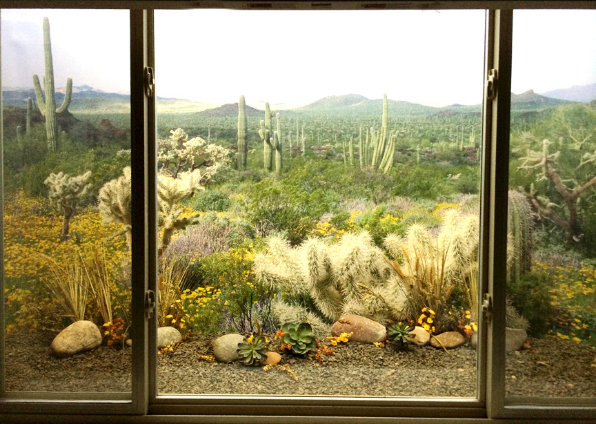 Decorative Window Well Liners 24+ Scenes Transform Your Basement