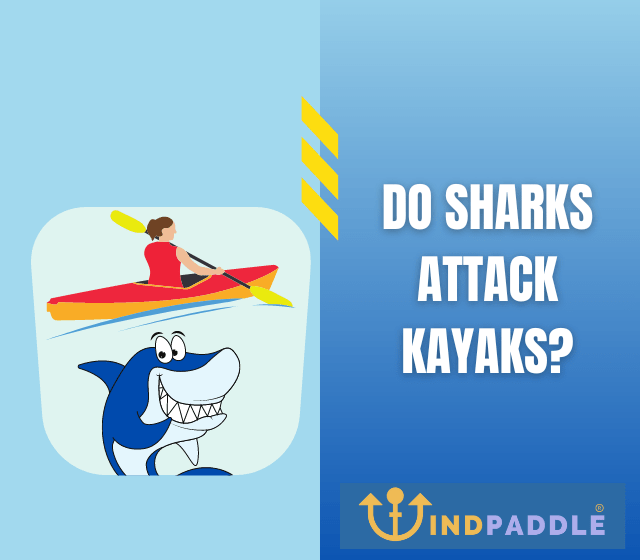 Your Paddling Source