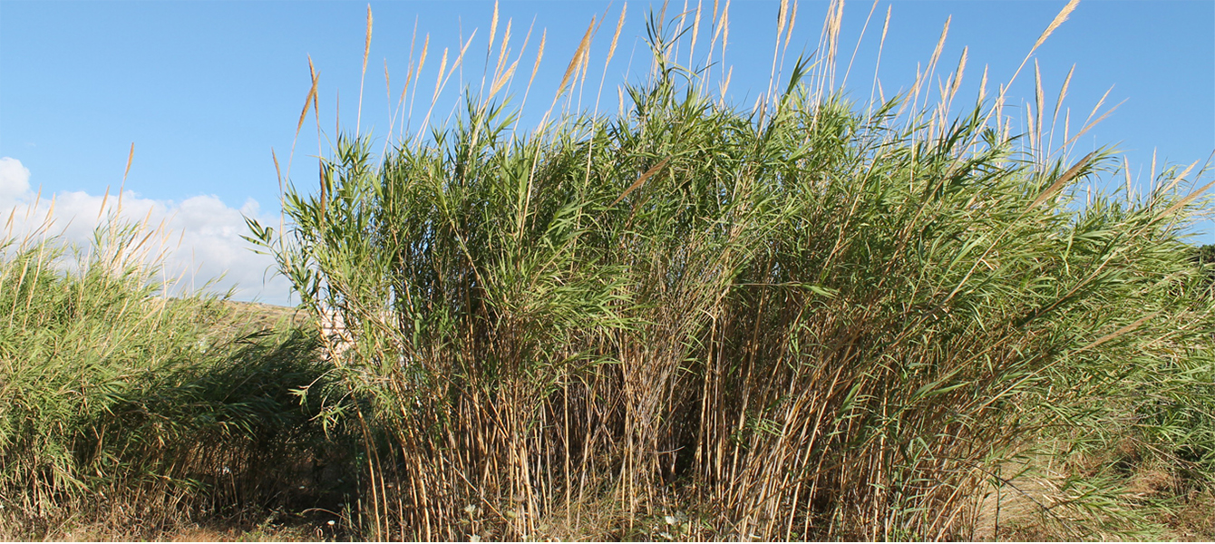 301 Moved Permanently