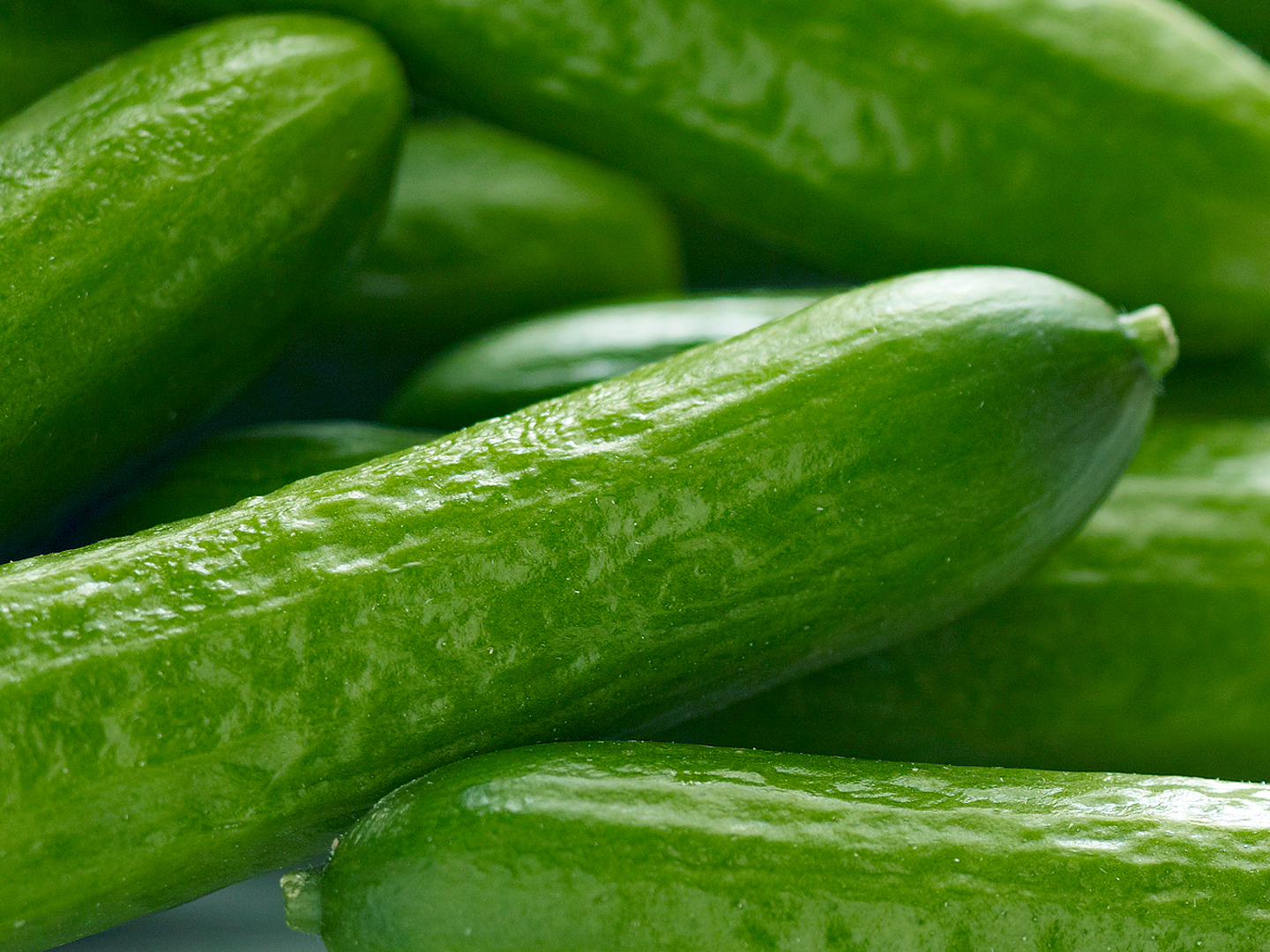 Windset Farms®Fresco® Cocktail Cucumbers Windset Farms®