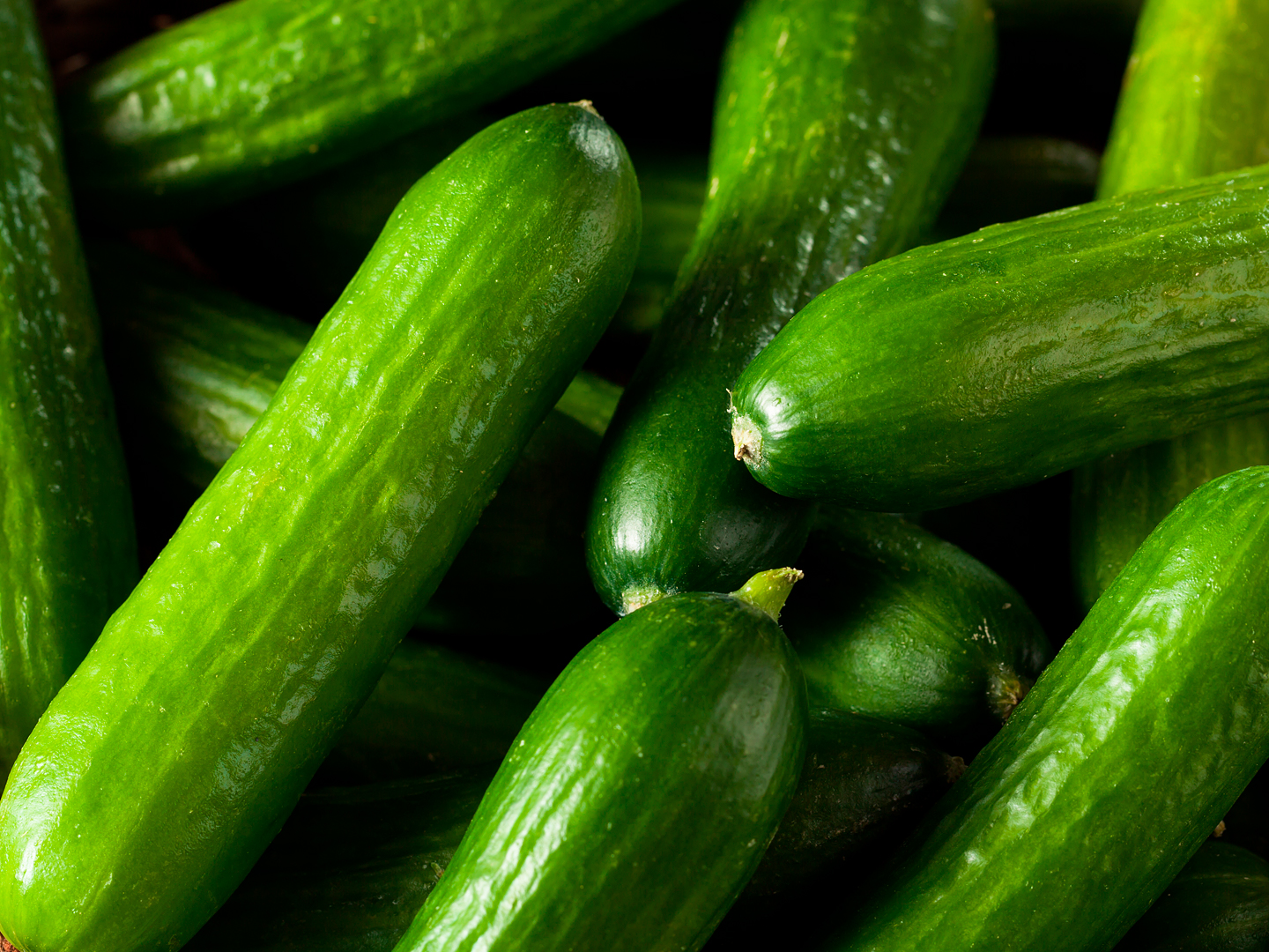 Windset Farms®Fresco® Mini Cucumbers Windset Farms®