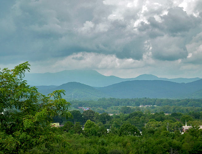 Sycamore Cottages South Asheville Homes Windsor Built Homes