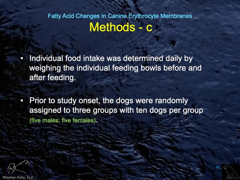 Windsor Dairy Fatty Acid Changes in Dogs with the Right Diet