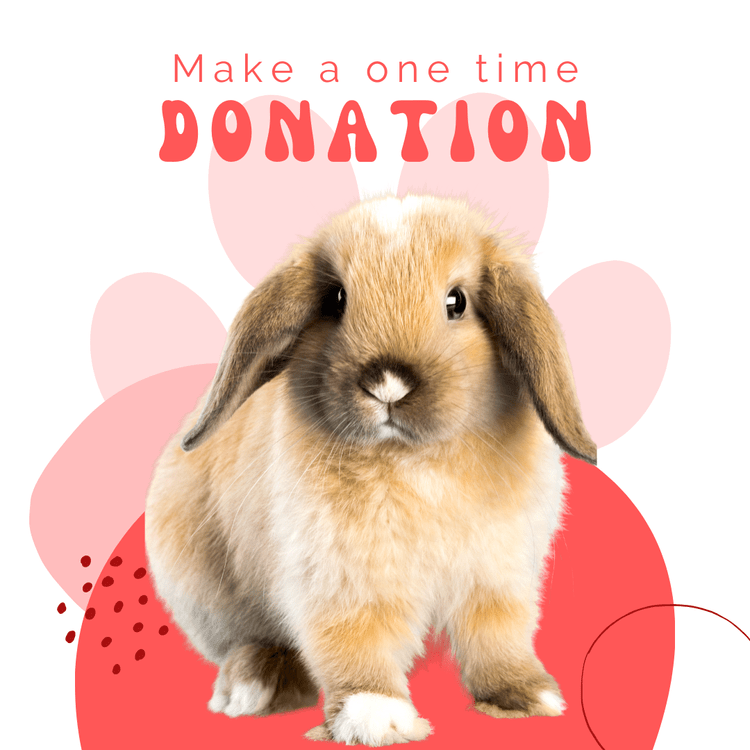 Make a Donation Windsor/Essex County Humane Society