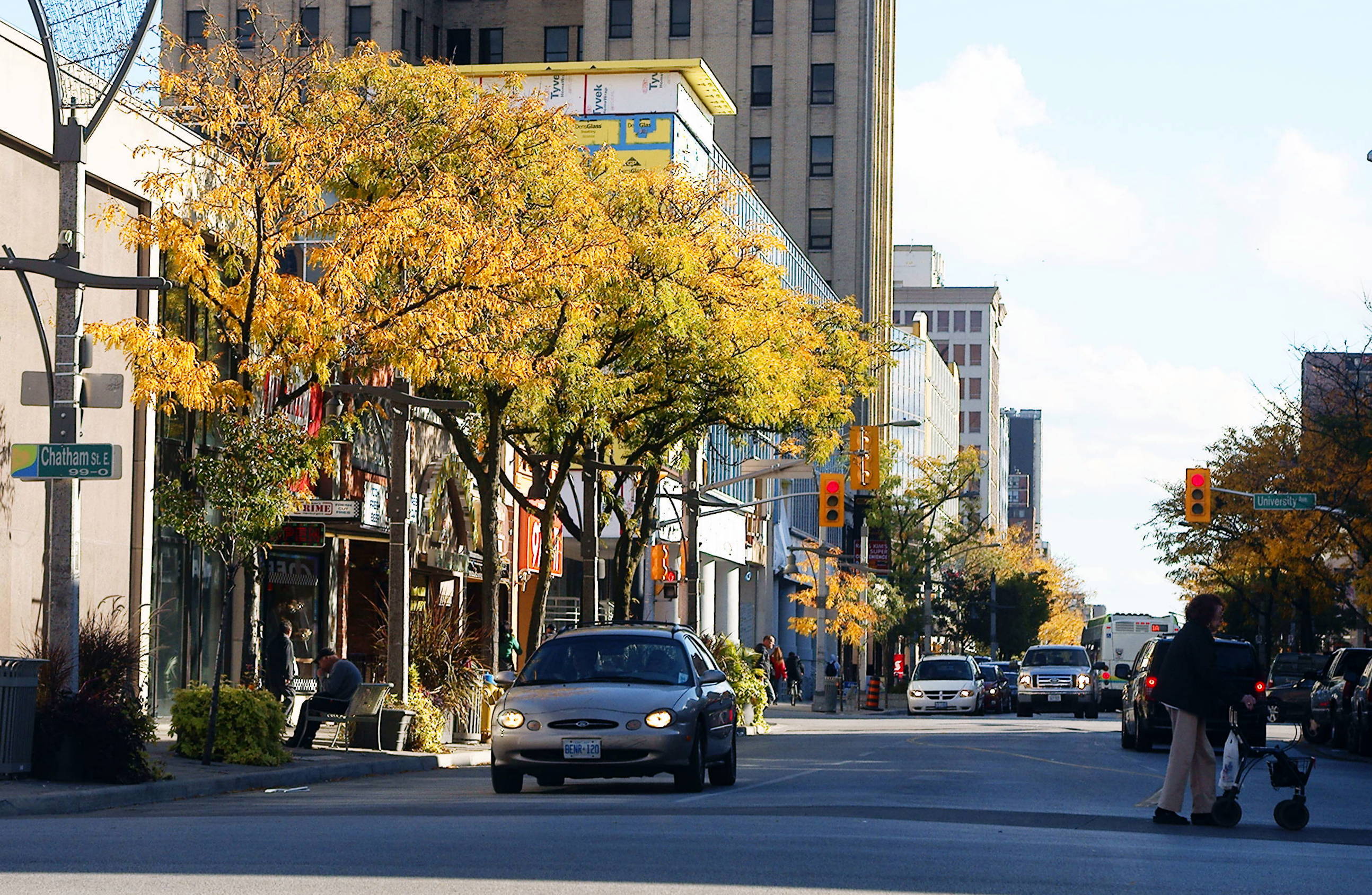 Downtown Windsor's Trees To Be Adorned With New Holiday Lights