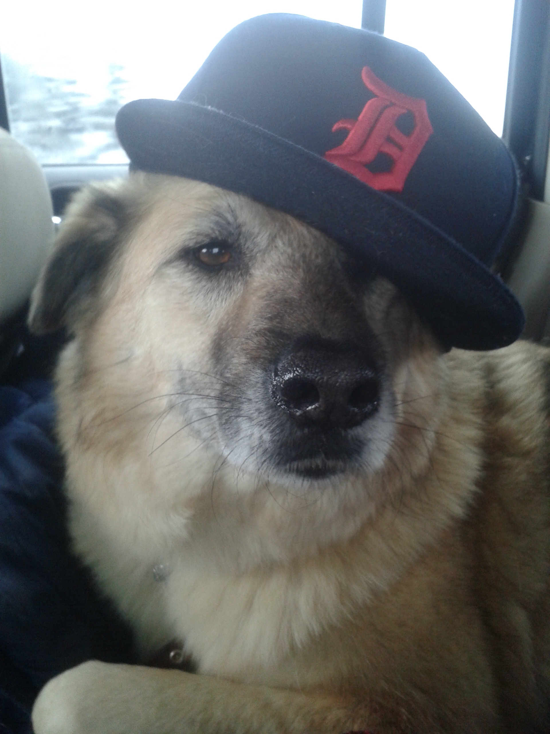 Billy Could Be Your Buddy windsoriteDOTca News windsor ontario's