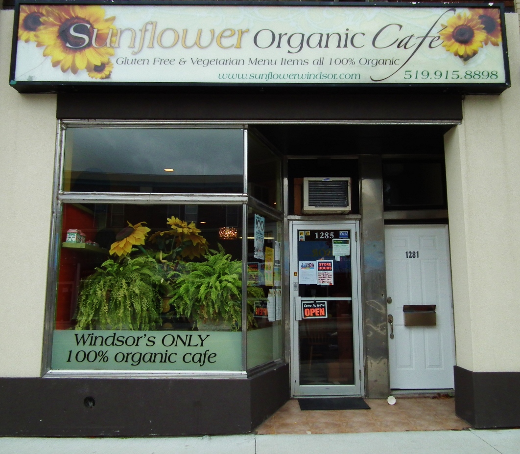Sunflower Organic Café windsoriteDOTca City Guide windsor ontario's