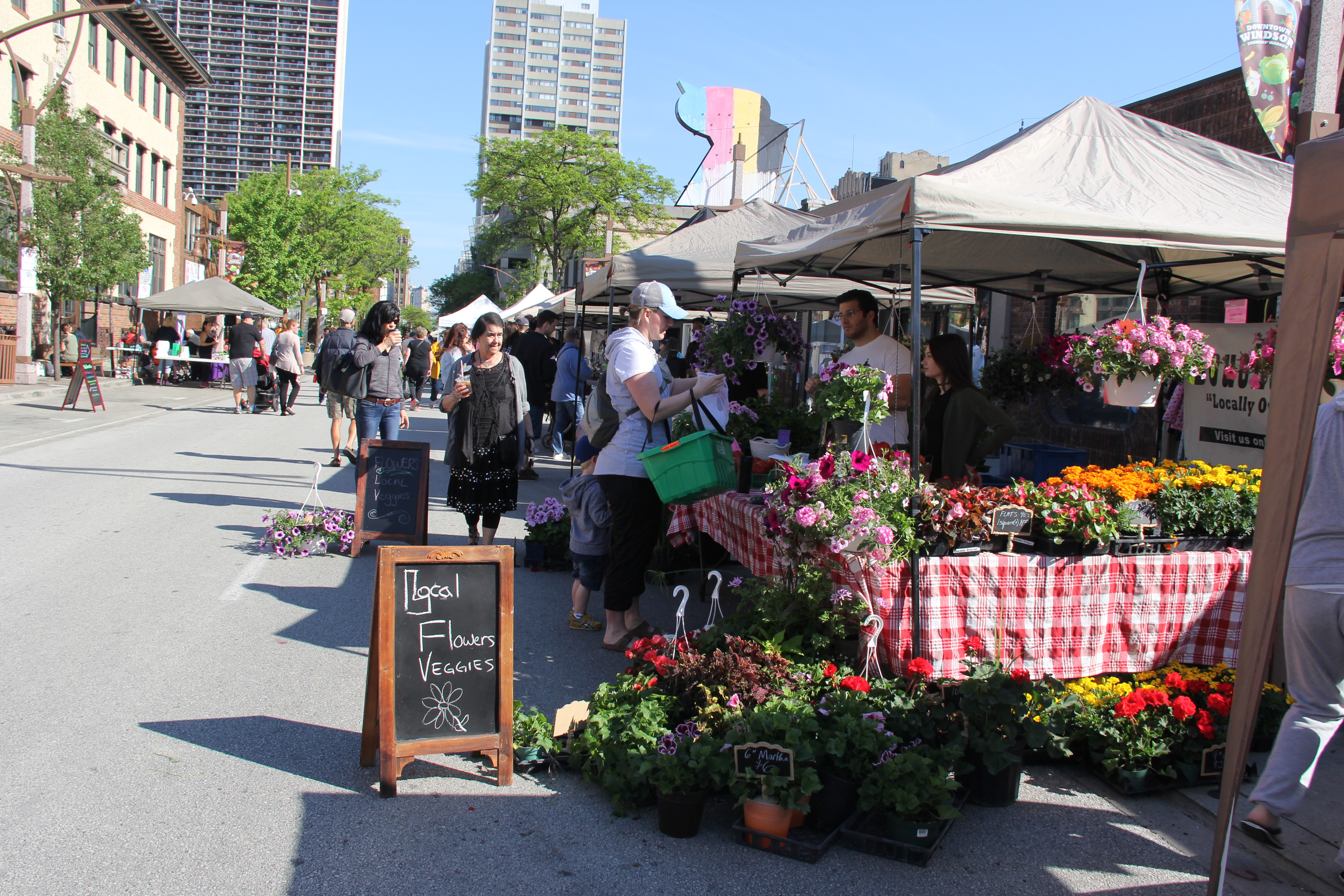 PHOTOS First Downtown Windsor Farmers' Market Of The Season