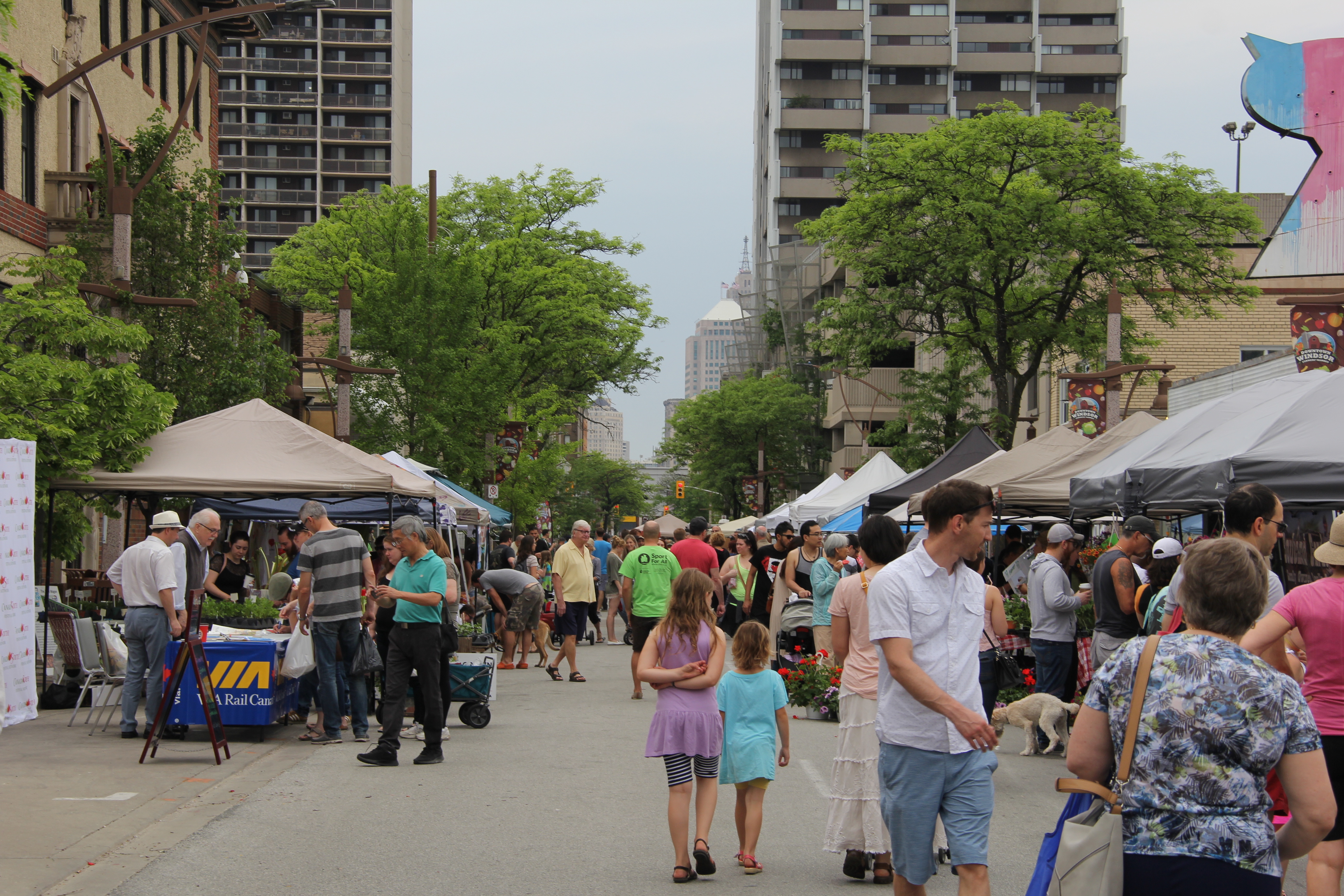 PHOTOS Downtown Windsor Market Opens For The Season windsoriteDOTca