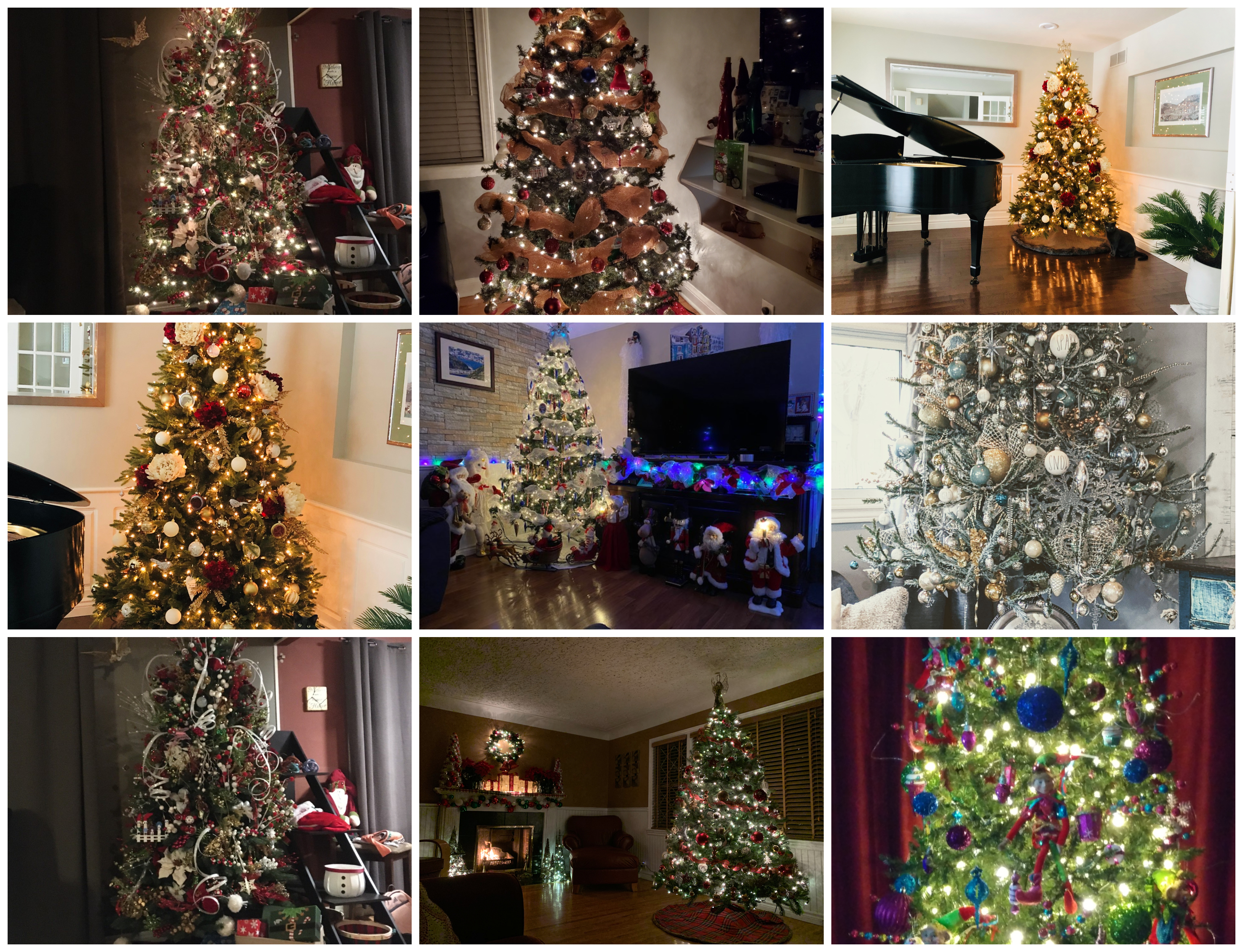 PHOTOS Some Of The Best Christmas Trees In Windsor (Part 3