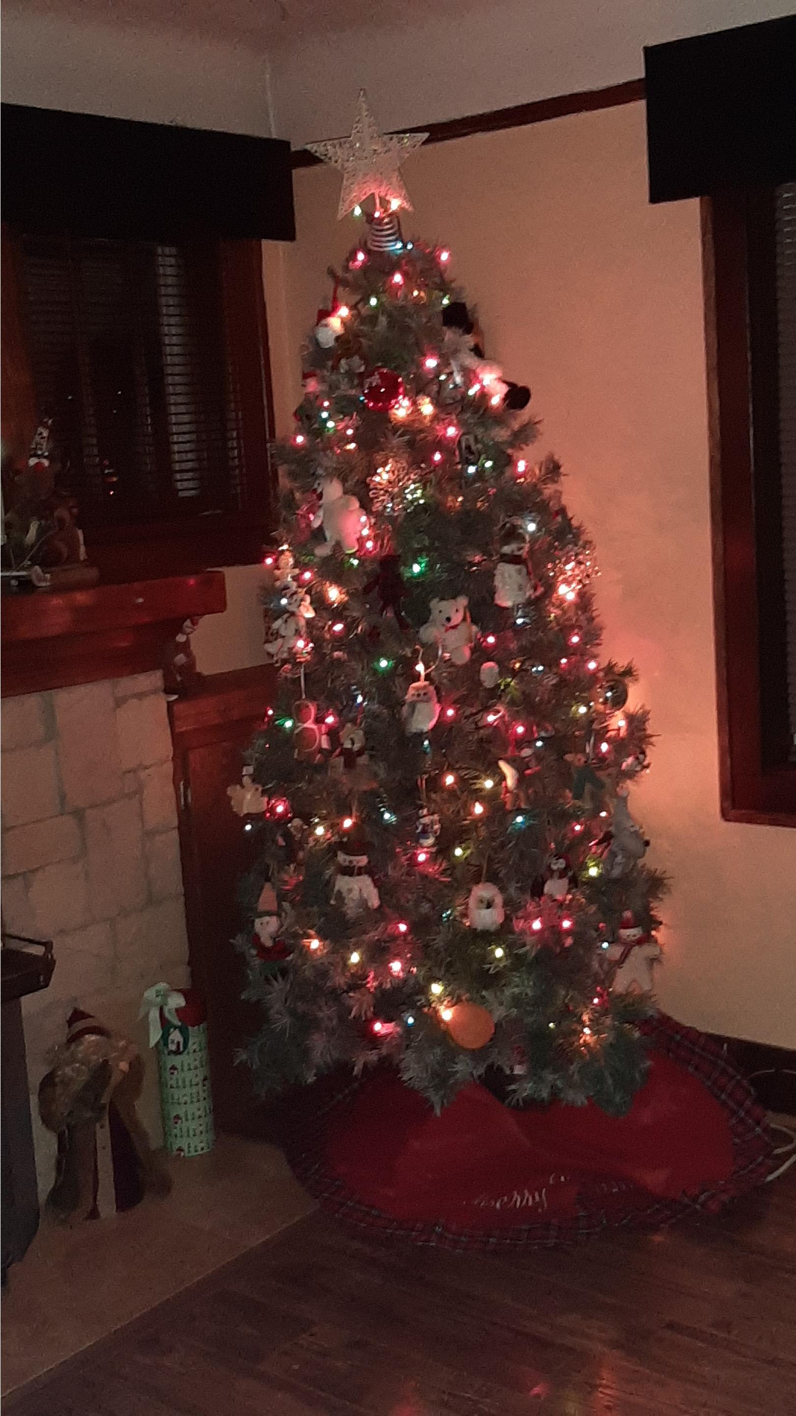 PHOTOS Some Of The Best Christmas Trees In Windsor (Part 1