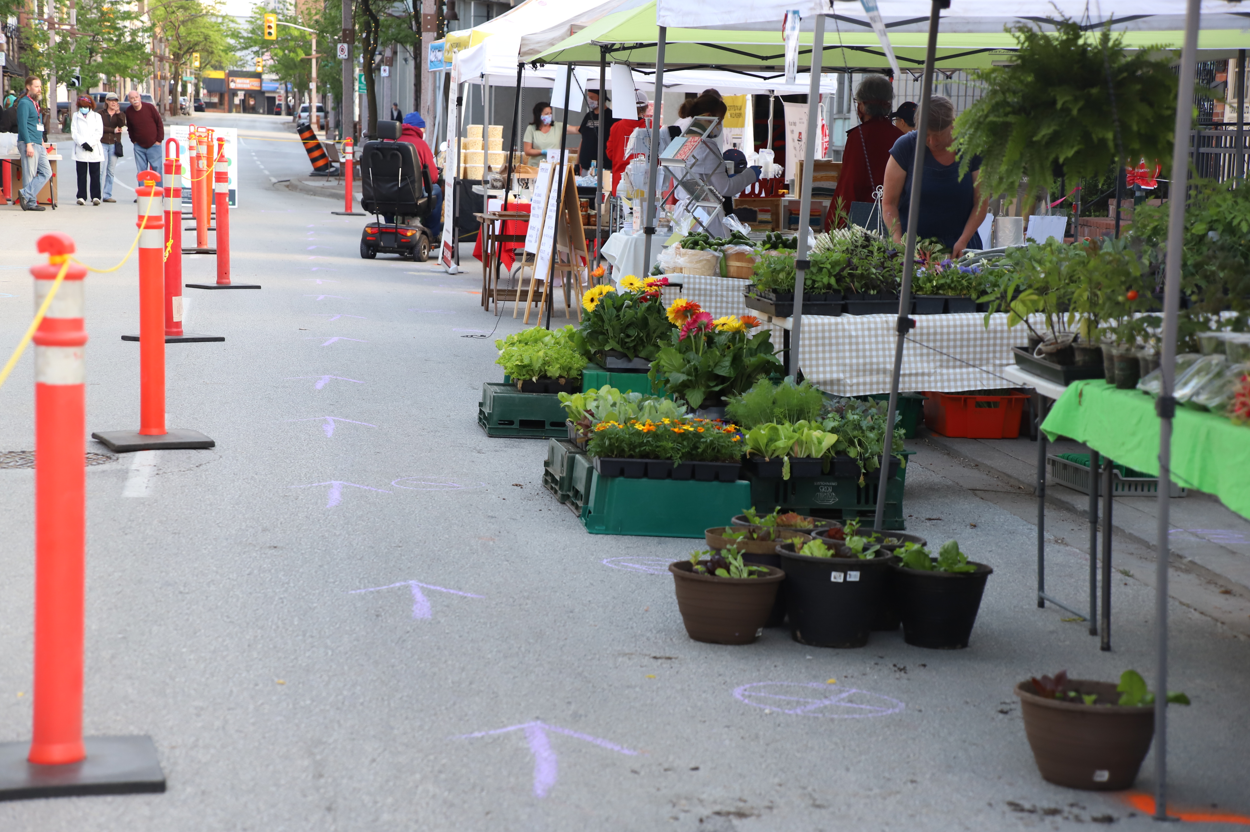 PHOTOS A Different Kickoff To The Downtown Windsor Farmers Market