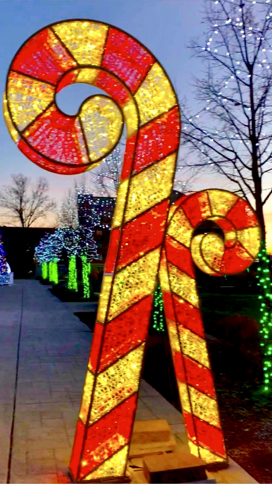 Christmas Photo Of The Day Saturday December 24th, 2022