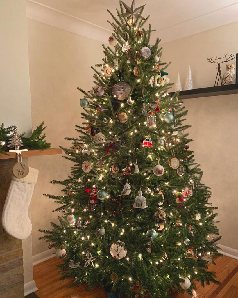 PHOTOS Show Us Your Christmas Tree 2022! windsoriteDOTca News