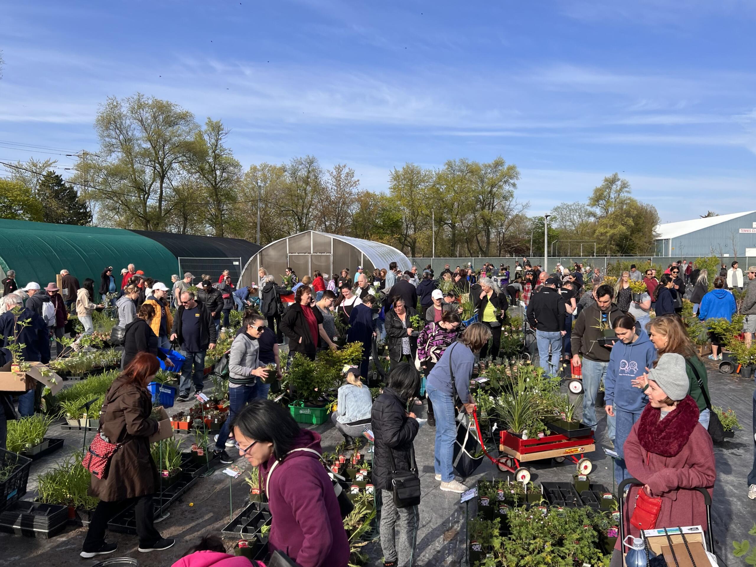 PHOTOS Annual Plant Sale Moves To New City Greenhouses